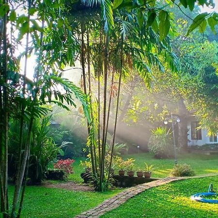 Mango House Japanese Guest House Negombo Esterno foto
