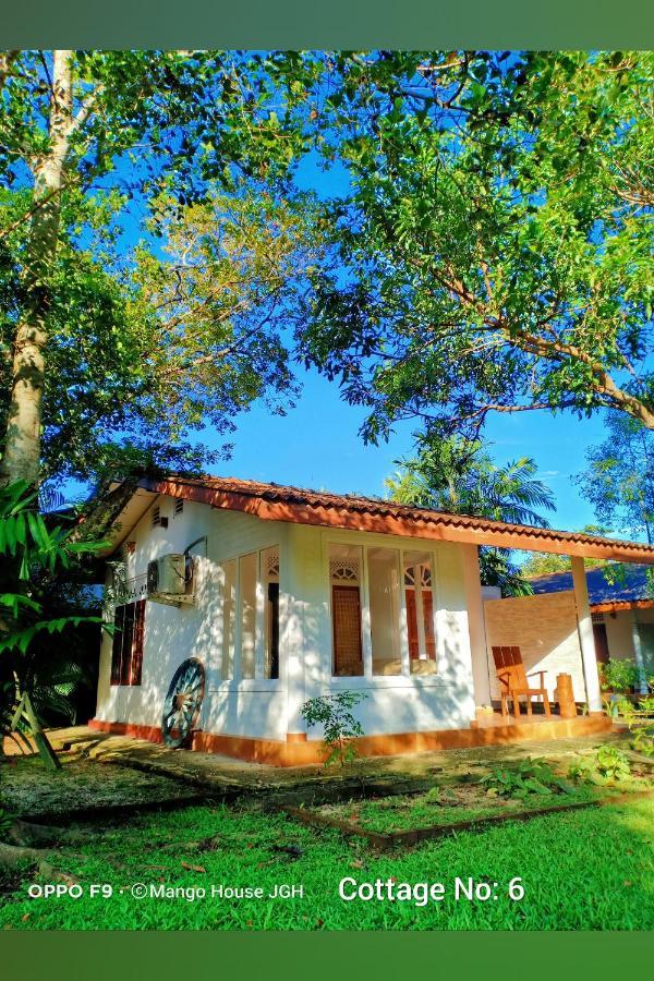 Mango House Japanese Guest House Negombo Esterno foto