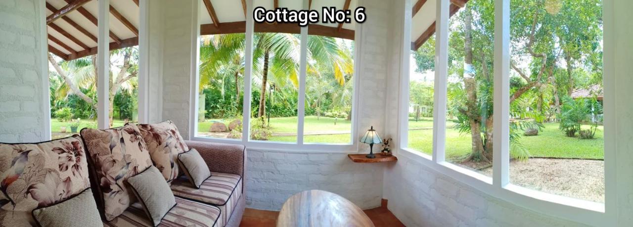 Mango House Japanese Guest House Negombo Esterno foto