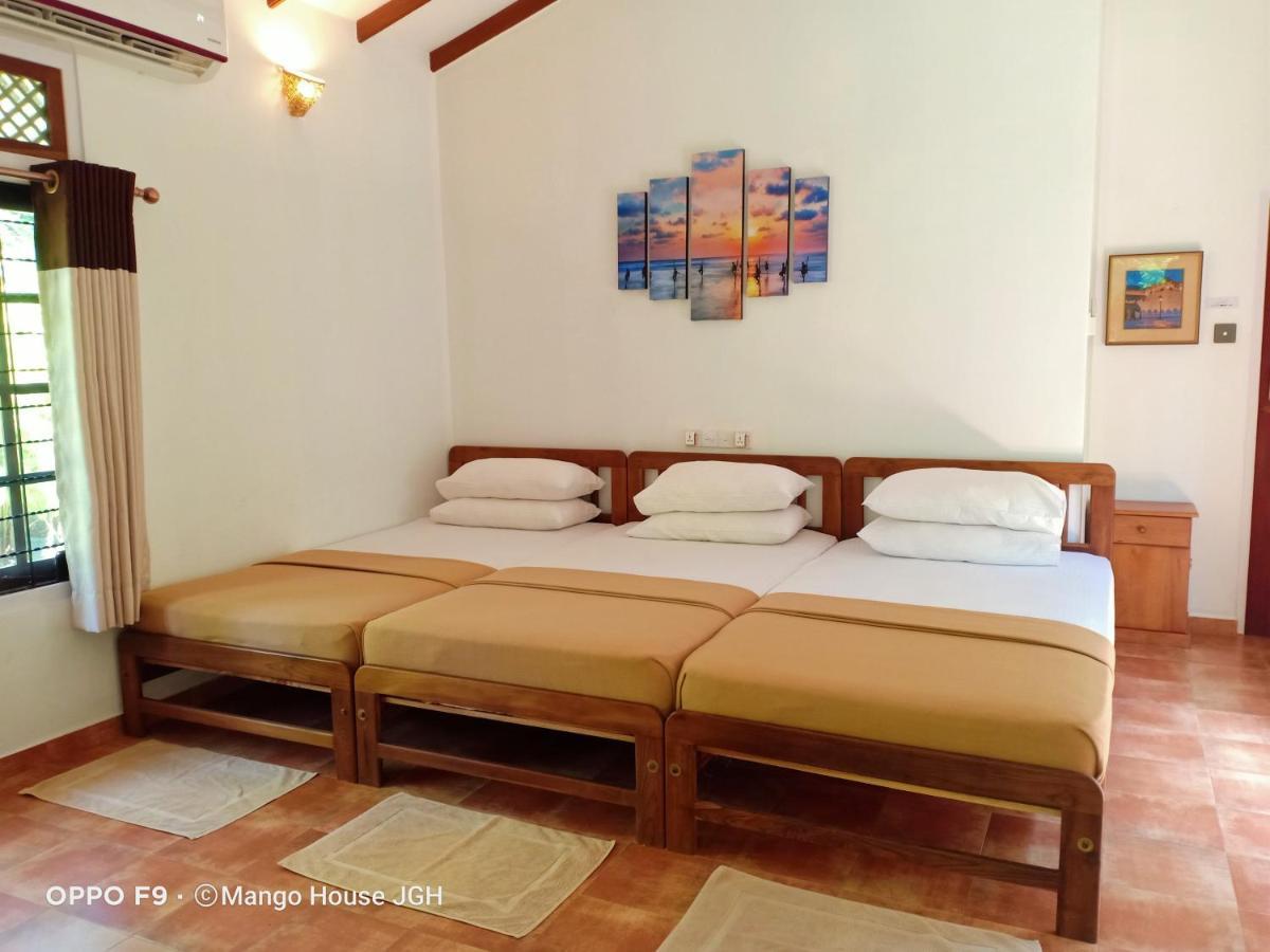 Mango House Japanese Guest House Negombo Esterno foto
