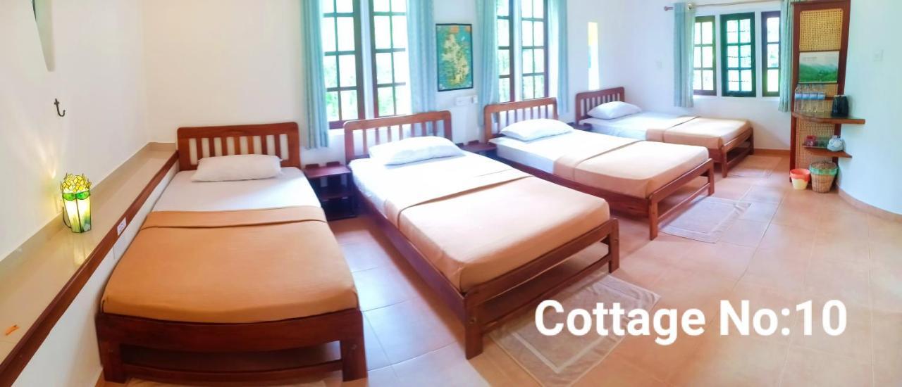 Mango House Japanese Guest House Negombo Esterno foto