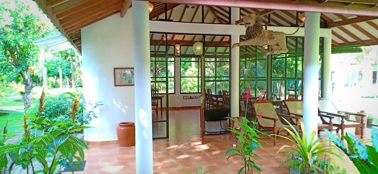 Mango House Japanese Guest House Negombo Esterno foto