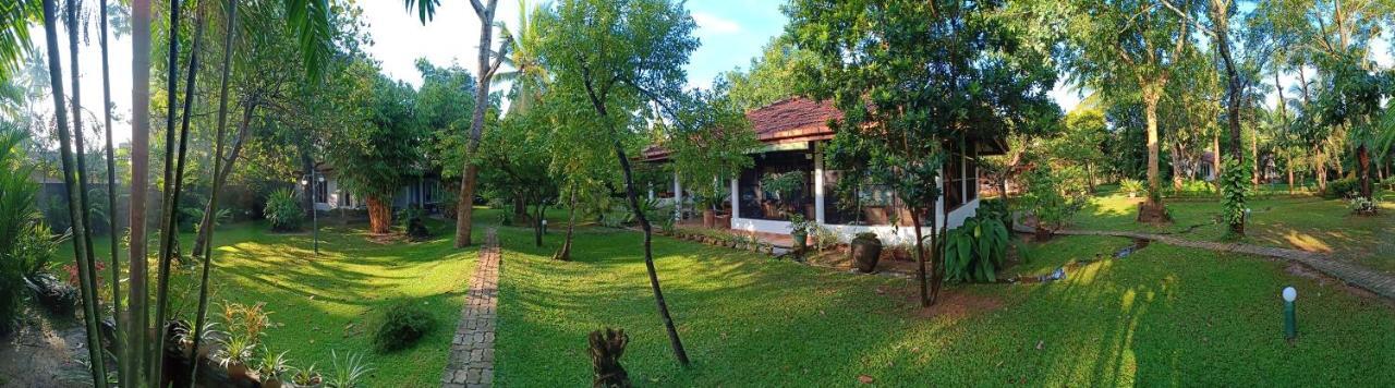 Mango House Japanese Guest House Negombo Esterno foto