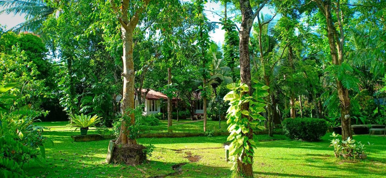 Mango House Japanese Guest House Negombo Esterno foto